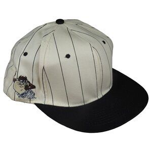NEW Vintage 1992 Taz Tasmanian Devil Back Script Pinstripe Snapback Hat